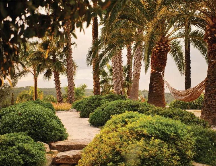 Beautiful landscaped gardens surrounding The Lions Villa in Mallorca