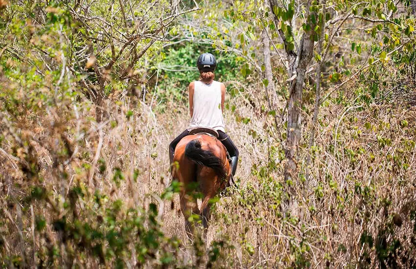 West Bali Escapade Special Offer