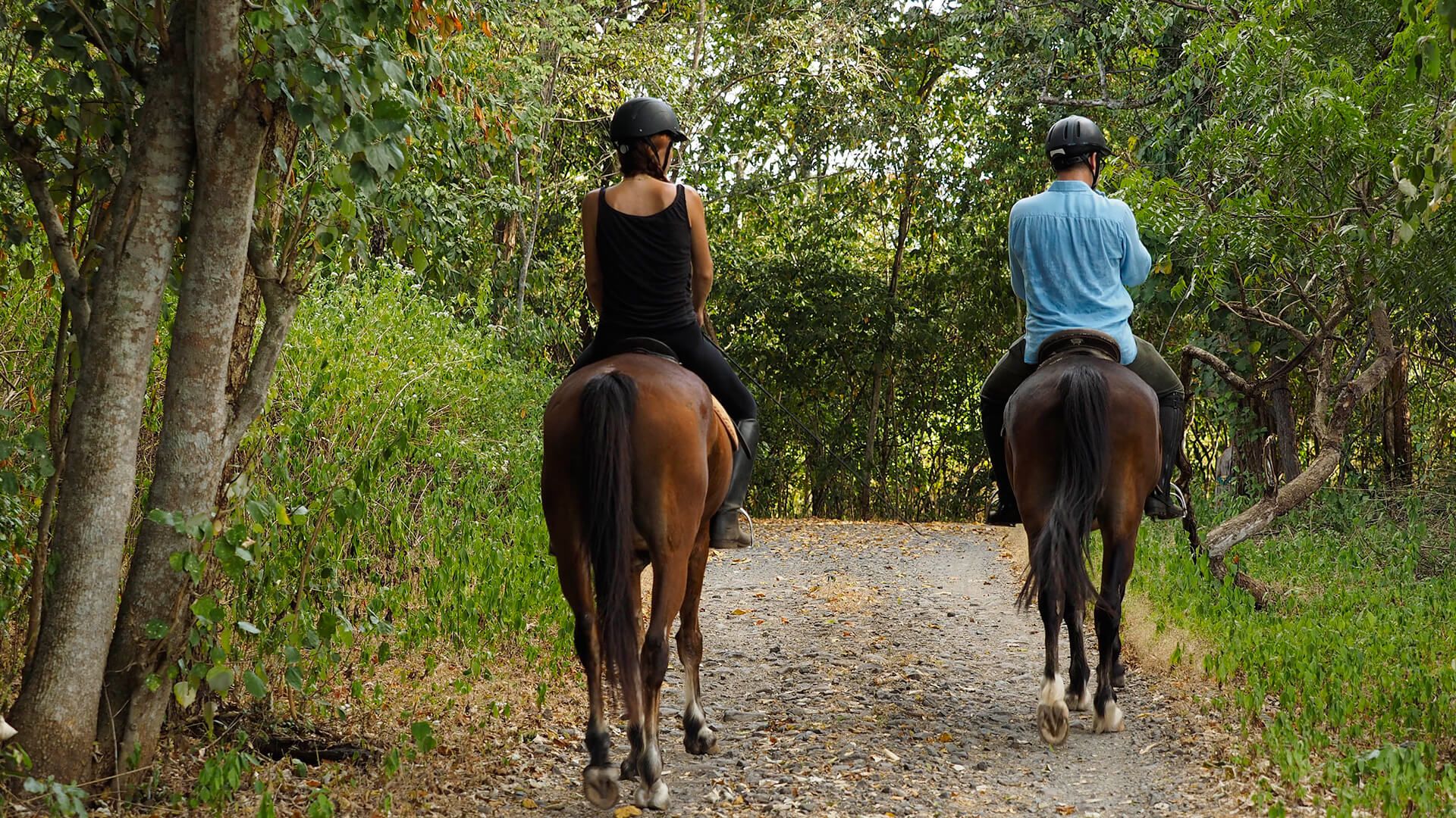 Bali Horseback Riding, A National Park Ride and Picnic