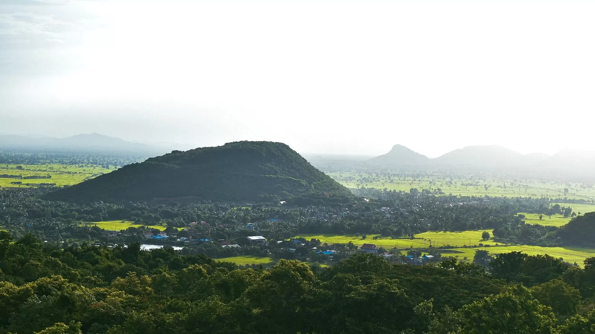 Cardamom Mountains Rainforests