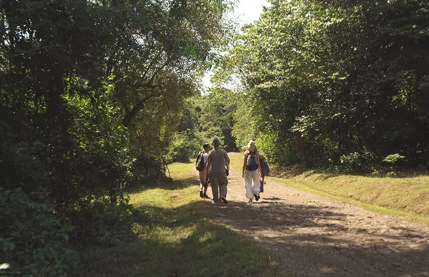 Trekking Experiences