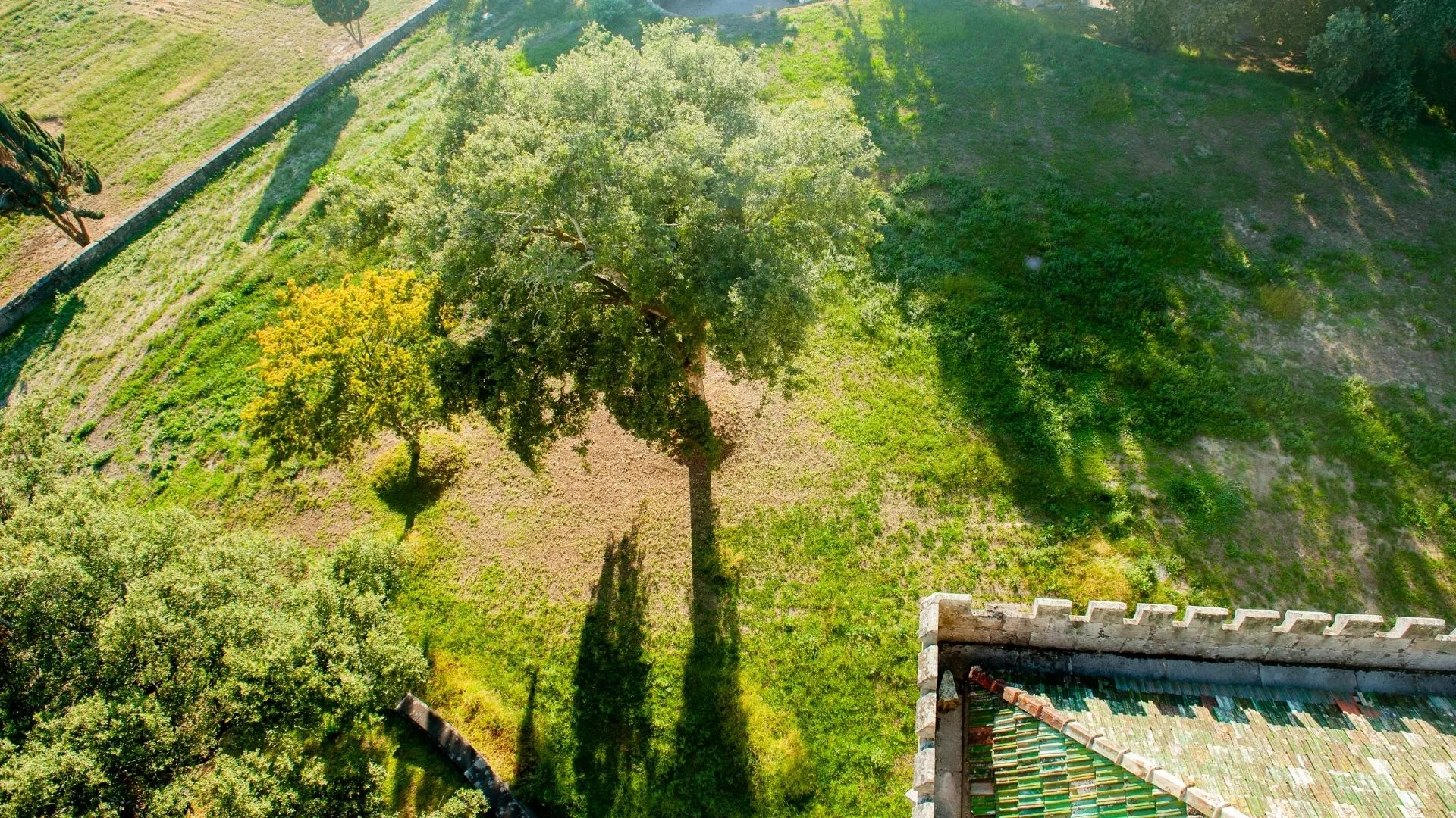 Castelo Dona Chica - Event