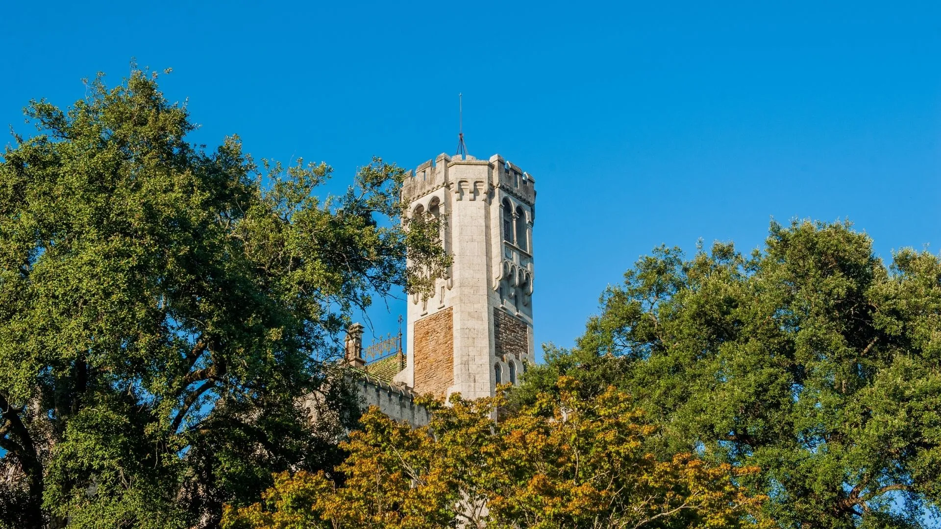 Castelo Dona Chica History