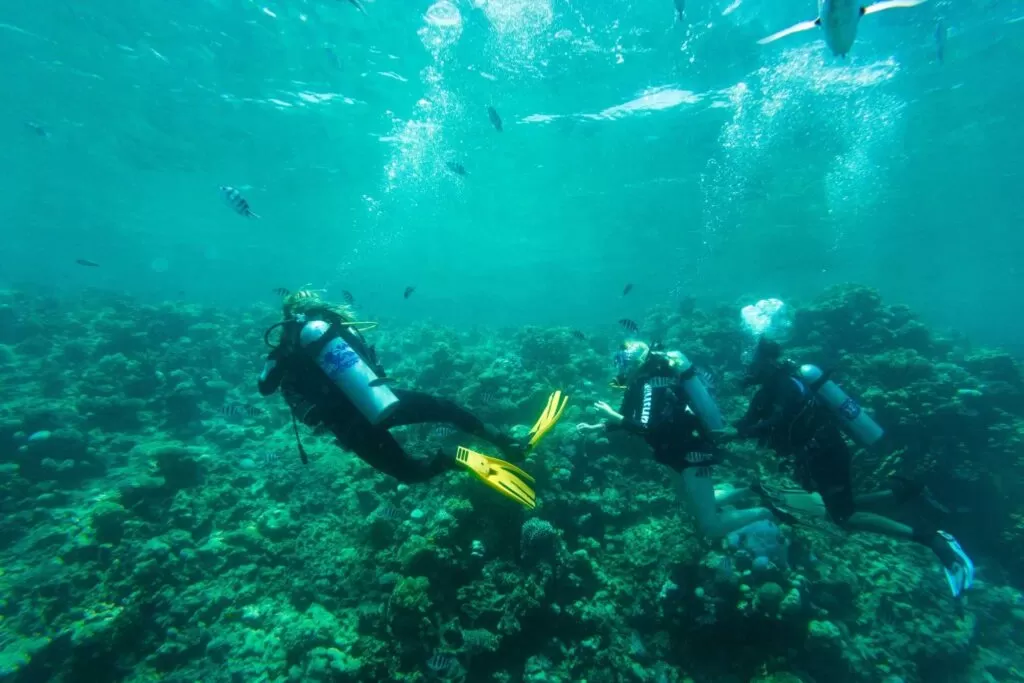 Best snorkeling spots in Bali with clear turquoise water and coral reefs for beginners