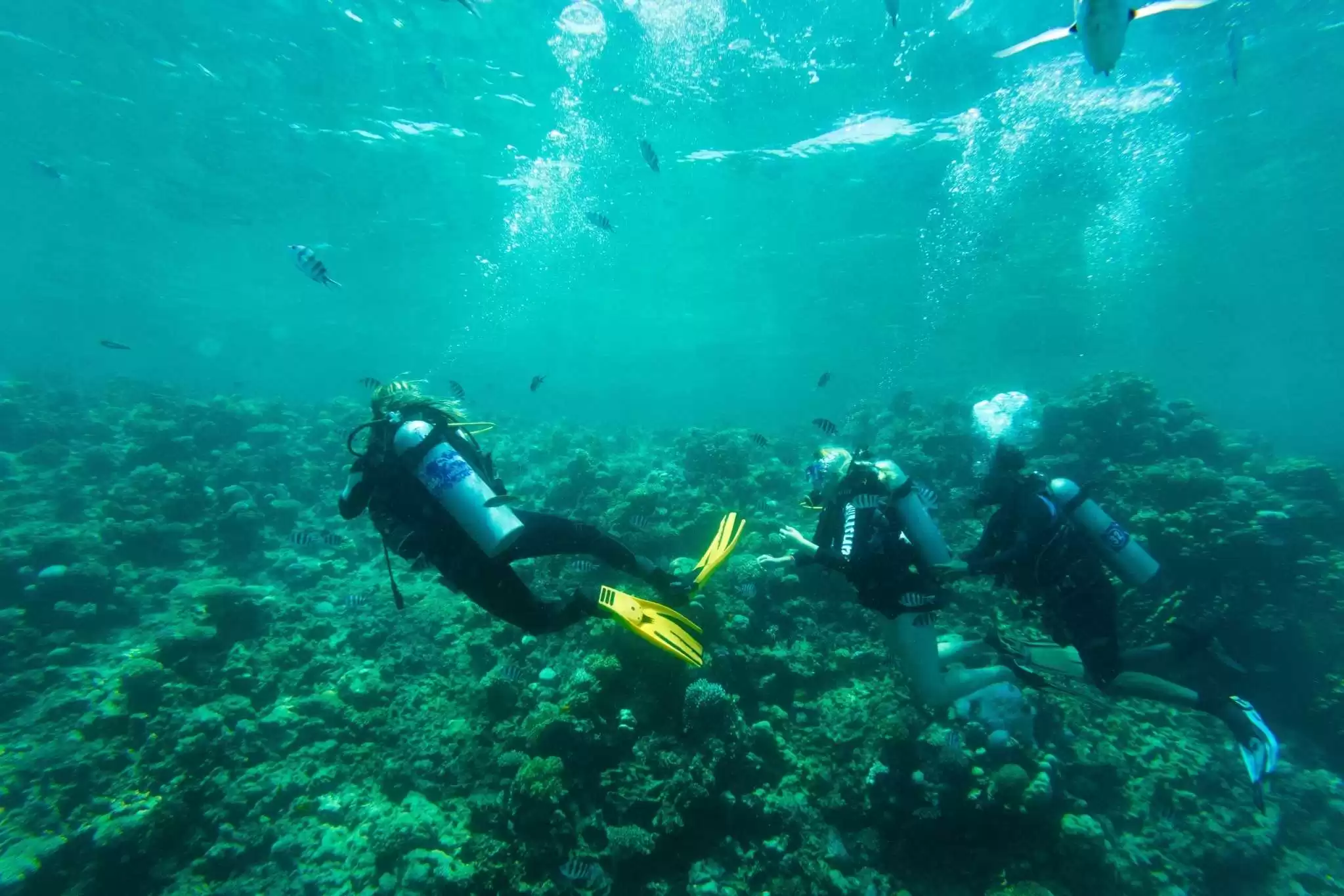 Best snorkeling spots in Bali with clear turquoise water and coral reefs for beginners