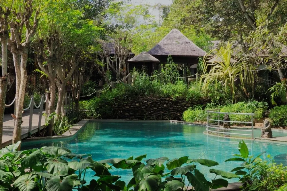 Serene pool surrounded by lush greenery at The Menjangan North Bali – a peaceful retreat for families who love nature and adventure